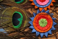 Jueves 23 de febrero del 2017. El penacho de la danza de la pluma de guacamaya. La elaboración del atuendo de los danzantes de la danza de la pluma de guacamaya o carnaval es elaborado siguiendo la ritualidad que es conservada y transmitida a las nuevas g Jueves 23 de febrero del 2017. El penacho de la danza de la pluma de guacamaya. La elaboración del atuendo de los danzantes de la danza de la pluma de guacamaya o carnaval es elaborado siguiendo la ritualidad que es conservada y transmitida a las nuevas g