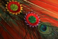 Miércoles 15 de febrero del 2017. El penacho de la danza de la pluma de guacamaya. La elaboración del atuendo de los danzantes de la danza de la pluma de guacamaya o carnaval es elaborado siguiendo la ritualidad que es conservada y transmitida a las nueva