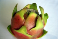 20210720. Tuxtla G. Pitahaya o Fruta Dragón