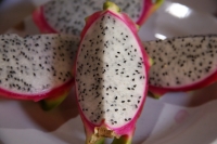 20210720. Tuxtla G. Pitahaya o Fruta Dragón
