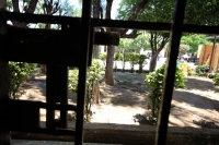 Lunes 25 de julio. Marcas en las paredes y la vieja estructura inmobiliaria de un antiguo balneario y centro de espectáculos para adultos se mantienen en la Finca Pitiquito que hasta hace algunos días fuera la principal Casa de Arraigo en el estado de Chi