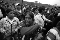 Una persona muerta, un numero indeterminado de golpeados, cuatro vehículos destrozados y daños materiales es el saldo después del enfrentamiento sostenido entre militantes priistas en la comunidad de Oxchuc, donde este medio día se llevo a cabo el plebisc