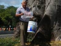 MAPACO.....Hola que tal...espero que todos estén bien...si pueden hay le regalan un poco de agua a la POCHOTA MILENARIA que está a la salida Tuxtla Gutiérrez, Chiapas rumbo al Municipio Felipe Berriozabal...Socialmente....MAPACO/facebook