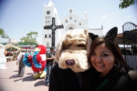Domingo 3 de octubre. Jóvenes de Tuxtla, marchan y se manifiestan por las calles para hacer un llamado a la conciencia de quienes maltratan y afectan a los animales, mascotas o de consumo, también expresaron la preocupación que tiene la población  ante la