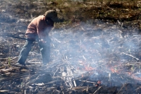 Martes 8 de febrero. Las labores de limpia de los terrenos de cultivo para la caña de azúcar en San Francisco Pujiltic se llevan a cabo por trabajadores eventuales entre los que se pueden observar indígenas de los altos, campesinos migrantes de Centro-Amé