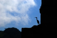 Jueves 22 de octubre del 2015. Tecpatan. La iglesia de la comunidad Quechula queda al descubierto de las aguas de la cuenca del Bajo Grijalva durante parte de este año debido al desfogue controlado de la Presa Hidroeléctrica Netzahualcóyotl ubicada en el 