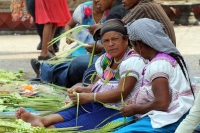 Domingo 17 de abril. La ciudad de Tuxtla Gutiérrez se llena de manifestaciones de fervor religioso en este Domingo de Ramos aun cuando es visible la baja venta de las tradicionales cruces de palma en las principales iglesias de la localidad, mientras que 
