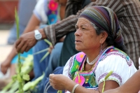 Domingo 17 de abril. La ciudad de Tuxtla Gutiérrez se llena de manifestaciones de fervor religioso en este Domingo de Ramos aun cuando es visible la baja venta de las tradicionales cruces de palma en las principales iglesias de la localidad, mientras que 
