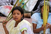Domingo 17 de abril. La ciudad de Tuxtla Gutiérrez se llena de manifestaciones de fervor religioso en este Domingo de Ramos aun cuando es visible la baja venta de las tradicionales cruces de palma en las principales iglesias de la localidad, mientras que 