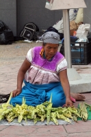 Domingo 17 de abril. La ciudad de Tuxtla Gutiérrez se llena de manifestaciones de fervor religioso en este Domingo de Ramos aun cuando es visible la baja venta de las tradicionales cruces de palma en las principales iglesias de la localidad, mientras que Domingo 17 de abril. La ciudad de Tuxtla Gutiérrez se llena de manifestaciones de fervor religioso en este Domingo de Ramos aun cuando es visible la baja venta de las tradicionales cruces de palma en las principales iglesias de la localidad, mientras que