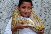 Domingo 9 de junio del 2019. #Tuxtla Gutiérrez. Los curiosos disfrutan el contacto con las #serpientes durante la Vía Recreativa.