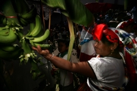 Miércoles 2 de febrero. Las celebraciones del día de la Virgen de Candelaria se celebran con danzas tradicionales donde los pertenecientes a la Cofradía de la Etnia Zoque presentan las danzas de la Casita y la Robadera en el atrio de la iglesia de este lu