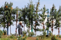 Sábado dos de noviembre del 2013. San Juan Chamula, la magia de los paisajes de las comunidades de los altos de Chiapas.