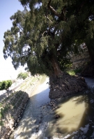 Martes 30 de noviembre. La cuenca del Sabinal. Aspectos del río Sabinal en el lado oriente de la ciudad de Tuxtla Gutiérrez.