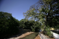 Martes 30 de noviembre. La cuenca del Sabinal. Aspectos del río Sabinal en el lado oriente de la ciudad de Tuxtla Gutiérrez.