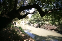 Martes 30 de noviembre. La cuenca del Sabinal. Aspectos del río Sabinal en el lado oriente de la ciudad de Tuxtla Gutiérrez.