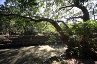 Martes 30 de noviembre. La cuenca del Sabinal. Aspectos del río Sabinal en el lado oriente de la ciudad de Tuxtla Gutiérrez.