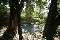 Martes 30 de noviembre. La cuenca del Sabinal. Aspectos del río Sabinal en el lado oriente de la ciudad de Tuxtla Gutiérrez.