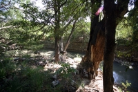 Martes 30 de noviembre. La cuenca del Sabinal. Aspectos del río Sabinal en el lado oriente de la ciudad de Tuxtla Gutiérrez.