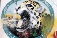 Viernes 13 de febrero del 2015. San Fernando. Shahuipac o Barranco de los Monos es el nombre en lengua zoque para referirse al antiguo caserío de la Finca de Las Animas de esta localidad ubicada en las cercanías de la capital del estado de Chiapas donde s