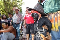 Lunes 7 de marzo. Los Danzantes del Carnaval Zoque en la comunidad San Fernando interpretan la lucha entre los personajes conocidos como El Monito y El Tigre. Esta localidad se ubica a 20 minutos sobre la carretera de Tuxtla Gutiérrez hacia la zona  de Lo