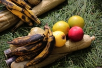 20231101. Zinacantan. Las comunidades de Los Altos de Chiapas celebran con ofrendas de frutas y flores en los panteones durante las fiestas del Día de Muertos