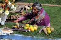 20231101. Zinacantan. Las comunidades de Los Altos de Chiapas celebran con ofrendas de frutas y flores en los panteones durante las fiestas del Día de Muertos