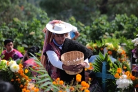 20231101. Zinacantan. Las comunidades de Los Altos de Chiapas celebran con ofrendas de frutas y flores en los panteones durante las fiestas del Día de Muertos
