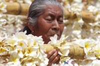 Lunes 25 de abril del 2016. Tuxtla Gutiérrez. Bajo el intenso calor de la depresión central de Chiapas, Monseñor Fabio Martínez Castilla Arzobispo de Tuxtla Gutiérrez, recibe las ofrendas de flores ensartadas en la catedral de San Marcos, donde se celebra