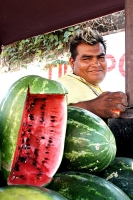 Karenina/Frutas de la Temporada. Imágenes de la Central de Abastos.