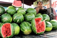Karenina/Frutas de la Temporada. Imágenes de la Central de Abastos.