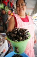 Comidas Tradicionales. El Shutie es un caracol de río que se distingue por su concha negra, se recolecta en los ríos de aguas claras y es considerado uno de los platillos más populares de las comunidades chiapanecas. Este caracol es cocinado en un caldo q