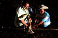 Viernes 9 de diciembre del 2016. Tuxtla Gutiérrez. La  Casita de la Siembra Zoque. Uno de los rituales más importantes dentro de El costumbre Zoque es la elaboración de la Casita de la Siembra, ceremonia realizada con carácter propiciatorio y adivinatorio