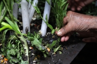 Martes 8 de diciembre del 2020. Tuxtla Gutiérrez. El ritual de la Siembra de la Casita Zoque de la Comunidad Zoque se realiza este medio día