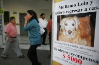 Sin Comentarios