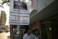 Sin Comentarios