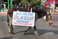 Foto/Jesús Hernández. Martes 2 de diciembre del 2014. Tuxtla Gutiérrez. Sinnar Corzo entrando a la ciudad como lo hiciera su abuelo a 100 años del Movimiento Mapachista en lo que llama “La Toma Pacifica de Tuxtla por la División MapaChis y los 43 de Ayotz