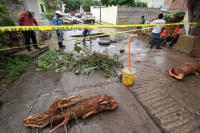 Lunes 2 de junio de 2014. Los socavones en las calles y avenidas continúan causando molestias a la población de la capital de Chiapas.
