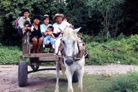 Especial. Miercoles 3 de febrero.  El Soconusco,  una de las zonas económicas del estado la cual se encuentra ubicada en la frontera con Guatemala, es una región rica en recursos naturales y con un desarrollo económico estable. Cuenta con una geografia co
