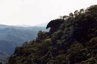Especial. Miercoles 3 de febrero.  El Soconusco,  una de las zonas económicas del estado la cual se encuentra ubicada en la frontera con Guatemala, es una región rica en recursos naturales y con un desarrollo económico estable. Cuenta con una geografia co