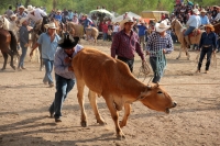 Sábado 31 de marzo del 2018. Suchiapa. El jaripeo rio da fin a las actividades de Semana Santa dando espacio al esparcimiento en las orillas de rio de esta comunidad chiapaneca.