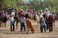 Sábado 31 de marzo del 2018. Suchiapa. El jaripeo rio da fin a las actividades de Semana Santa dando espacio al esparcimiento en las orillas de rio de esta comunidad chiapaneca.