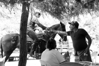 Sábado 31 de marzo del 2018. Suchiapa. El jaripeo rio da fin a las actividades de Semana Santa dando espacio al esparcimiento en las orillas de rio de esta comunidad chiapaneca.