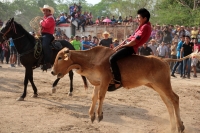 Sábado 31 de marzo del 2018. Suchiapa. El jaripeo rio da fin a las actividades de Semana Santa dando espacio al esparcimiento en las orillas de rio de esta comunidad chiapaneca.