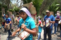 20210430. Suchiapa. La Hoja de la Espadaña es traída en hombros durante días para ser utilizada de manera ritual en las festividades de esta comunidad de la depresión central de Chiapas