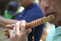 20210430. Suchiapa. La Hoja de la Espadaña es traída en hombros durante días para ser utilizada de manera ritual en las festividades de esta comunidad de la depresión central de Chiapas