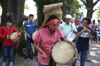 20210430. Suchiapa. La Hoja de la Espadaña es traída en hombros durante días para ser utilizada de manera ritual en las festividades de esta comunidad de la depresión central de Chiapas