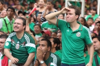 Domingo 29 de junio del 2014. Tuxtla Gutiérrez. A pesar de la derrota, sufriendo y disfrutando. (Secuencia de Manuel Velazco, gobernador de Chiapas durante la transmisión del partido entre México Y Holanda).