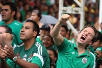 Domingo 29 de junio del 2014. Tuxtla Gutiérrez. A pesar de la derrota, sufriendo y disfrutando. (Secuencia de Manuel Velazco, gobernador de Chiapas durante la transmisión del partido entre México Y Holanda).