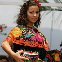 Los Joyonaqués son arreglos de flores que forman un escudo adornado con motivos indígenas Zoques. Los maestros Joyonaqueros son los miembros de las mayordomías que se encargan de presentar las ofrendas en las fiestas patronales de la depresión central del